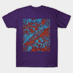 Mystical T-Shirt